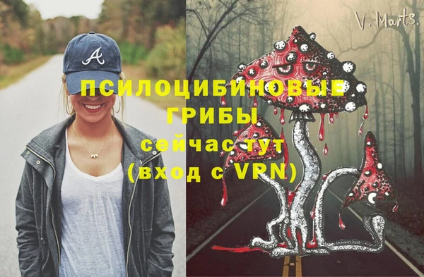 mdpv Верхний Тагил